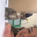 Kiking, 19850316, Cagayan, Northern Mindanao, Philippines